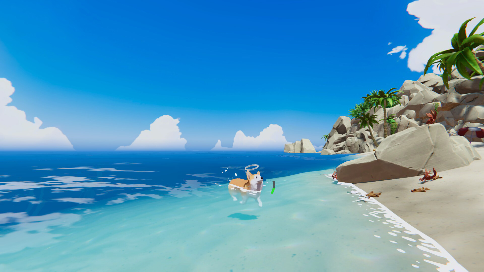 我的小柯基游戏截图