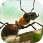 Ant War - Kingdom Battlesicon