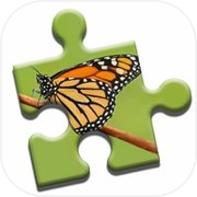Colorful Butterflies Puzzle