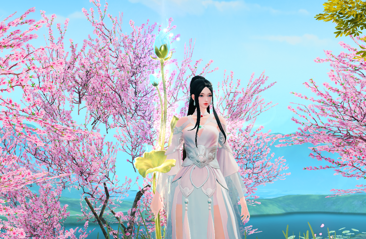 22件经典外观任你选