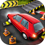 Car Driver 3Dicon