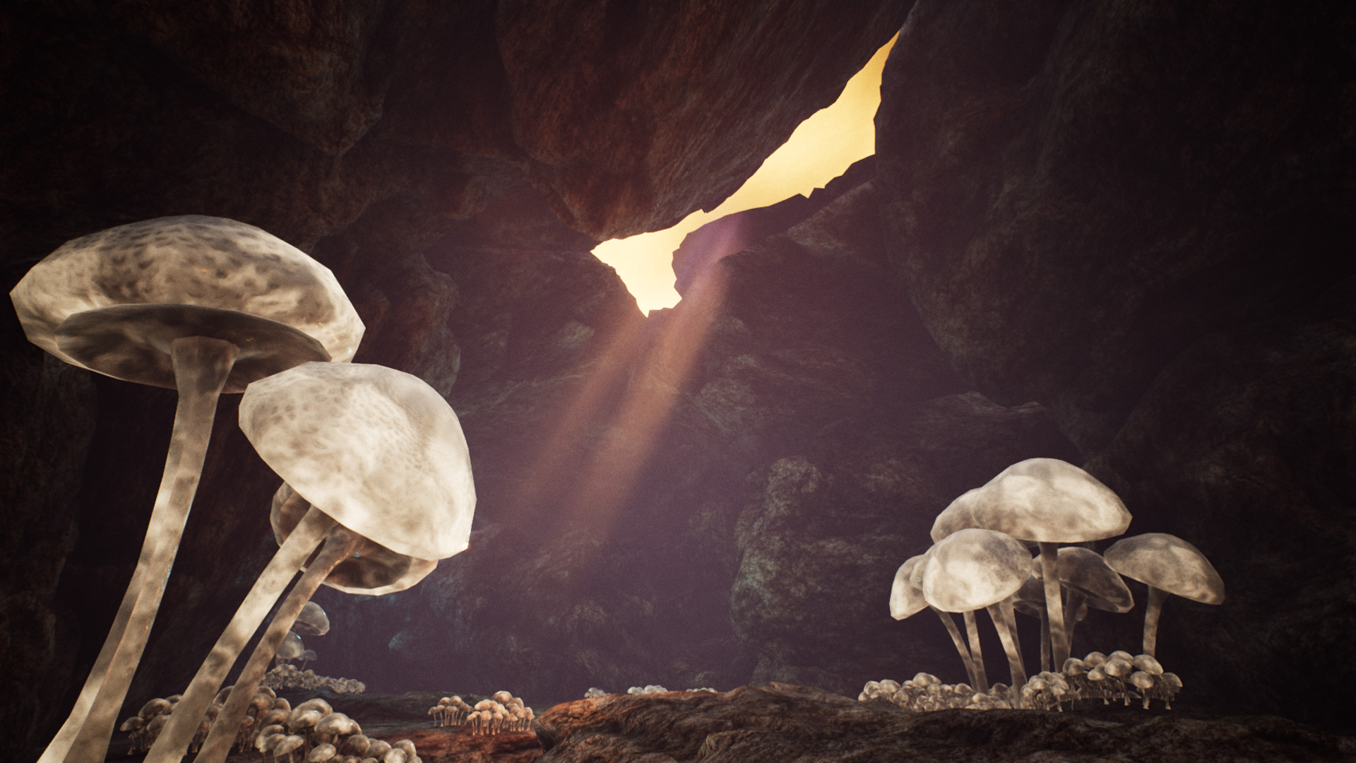 Nephise Begins游戏截图