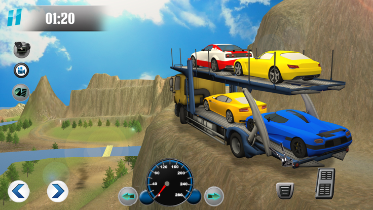 Car Transport-er Truck Driver游戏截图