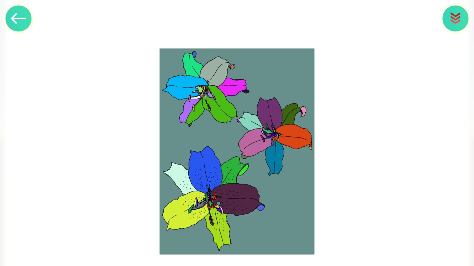 植物填色画画HD游戏截图