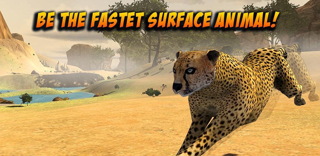 Wild Attack Cheetah Simulator游戏截图