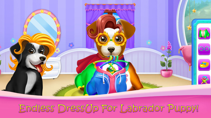 蓬松的拉布拉多幼犬沙龙游戏截图