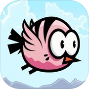 Coco Bird
