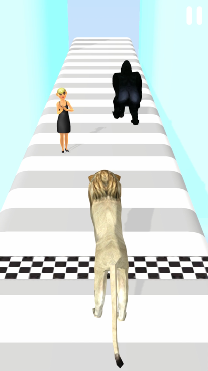 Animal Run 3D!!游戏截图