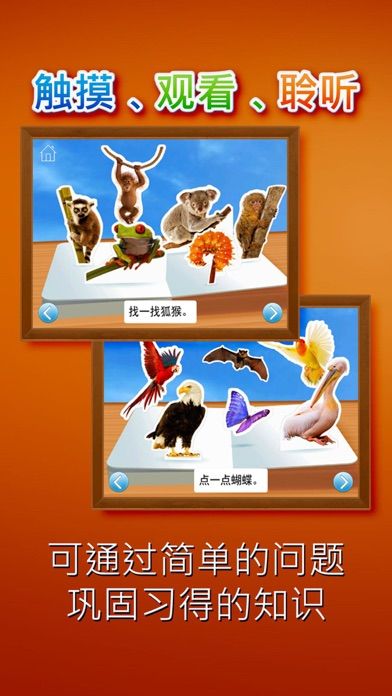 动物园的动物们游戏截图