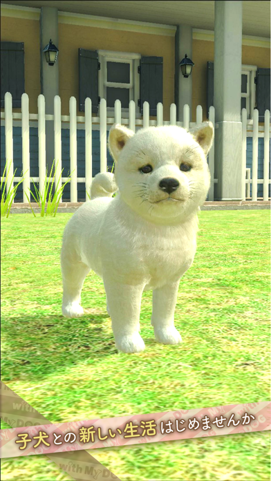 with My DOG - 犬とくらそう -游戏截图