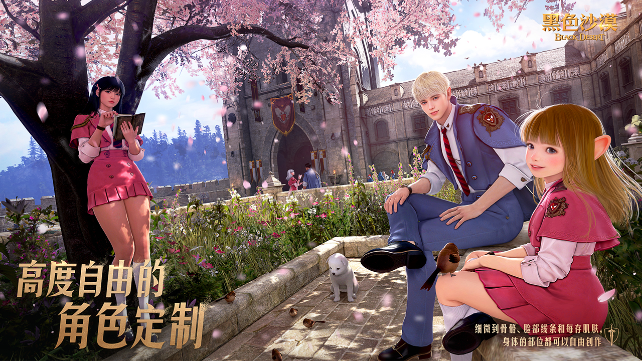 黑色沙漠游戏截图