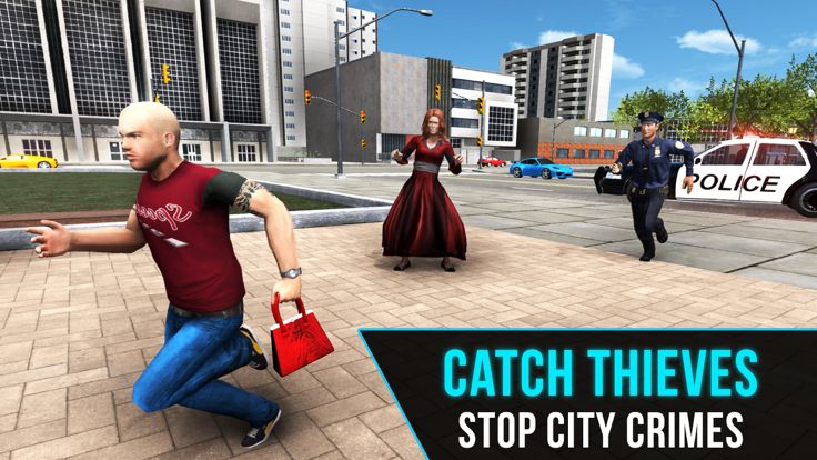 警车劫匪追游戏截图