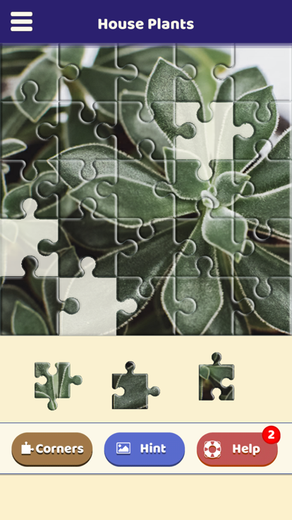 House Plants Puzzle游戏截图