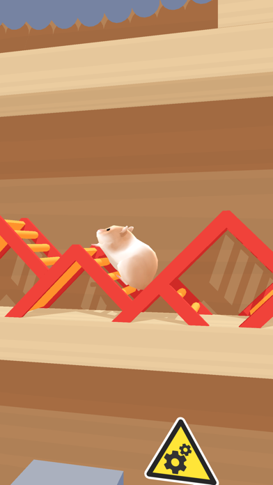 Hamster Maze游戏截图