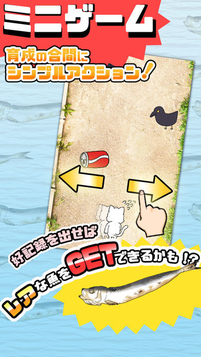 にゃんこ日和〜ほのぼの子猫育成ゲーム〜游戏截图