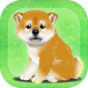 癒しの子犬育成ゲーム〜柴犬編〜icon