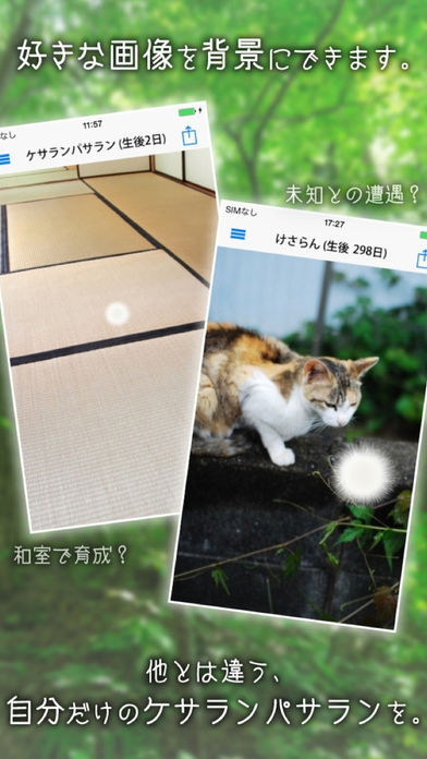 ケサランパサラン - 不思議な生き物を育成してみませんか？【癒し系育成ゲーム】游戏截图