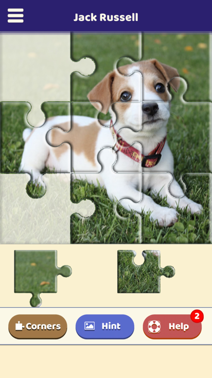 Jack Russell Puzzle游戏截图