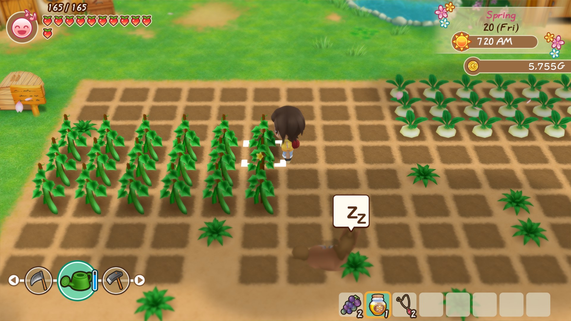 STORY OF SEASONS: Friends of Mineral Town游戏截图