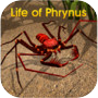 Life of Phrynus - Whip Spidericon