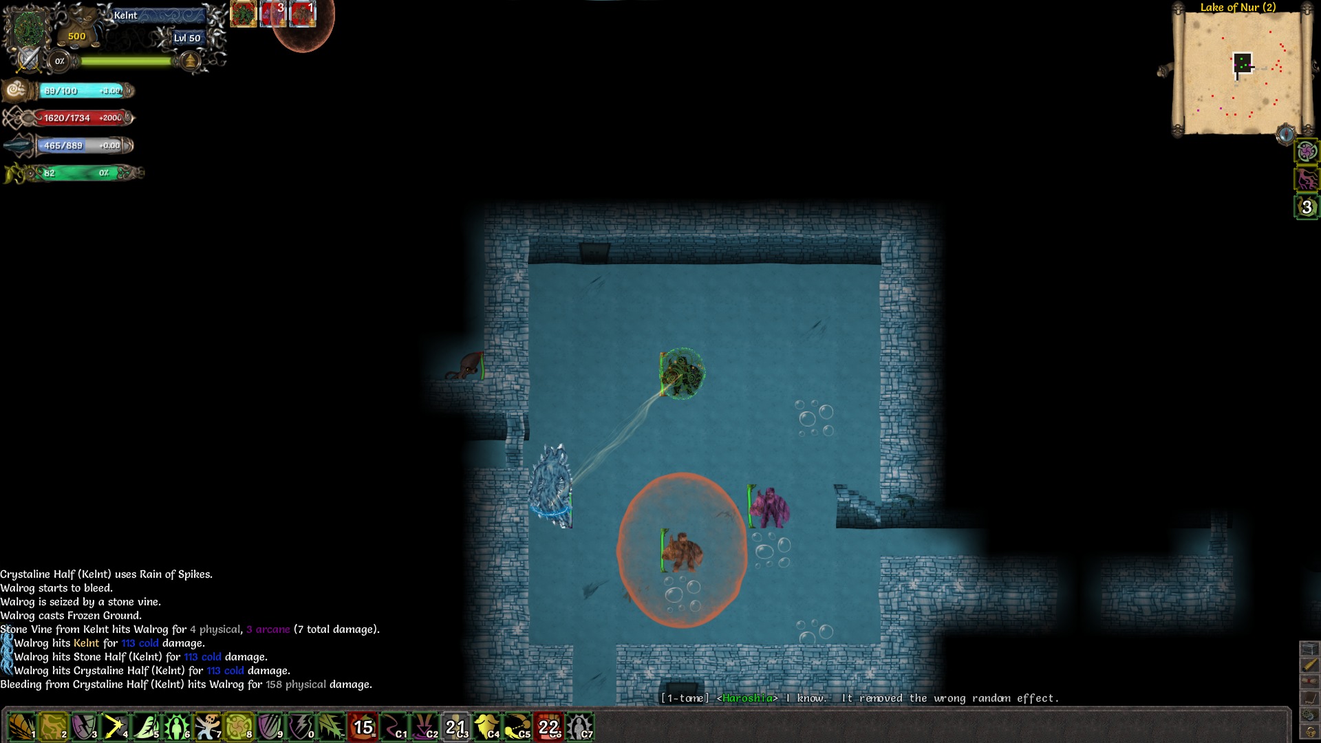 Tales of Maj'Eyal游戏截图