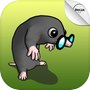 Catch the Molesicon