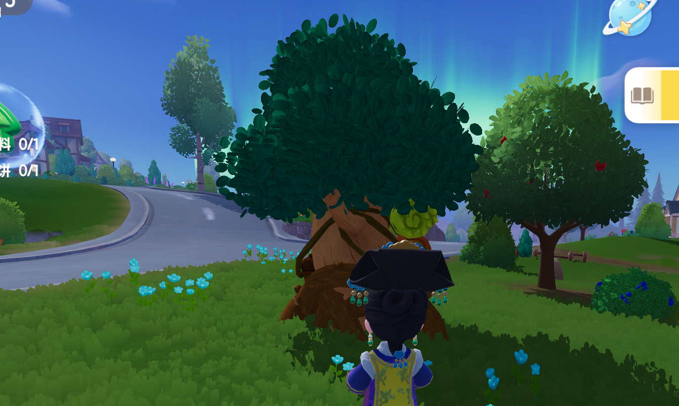 2月6日溜溜木位置