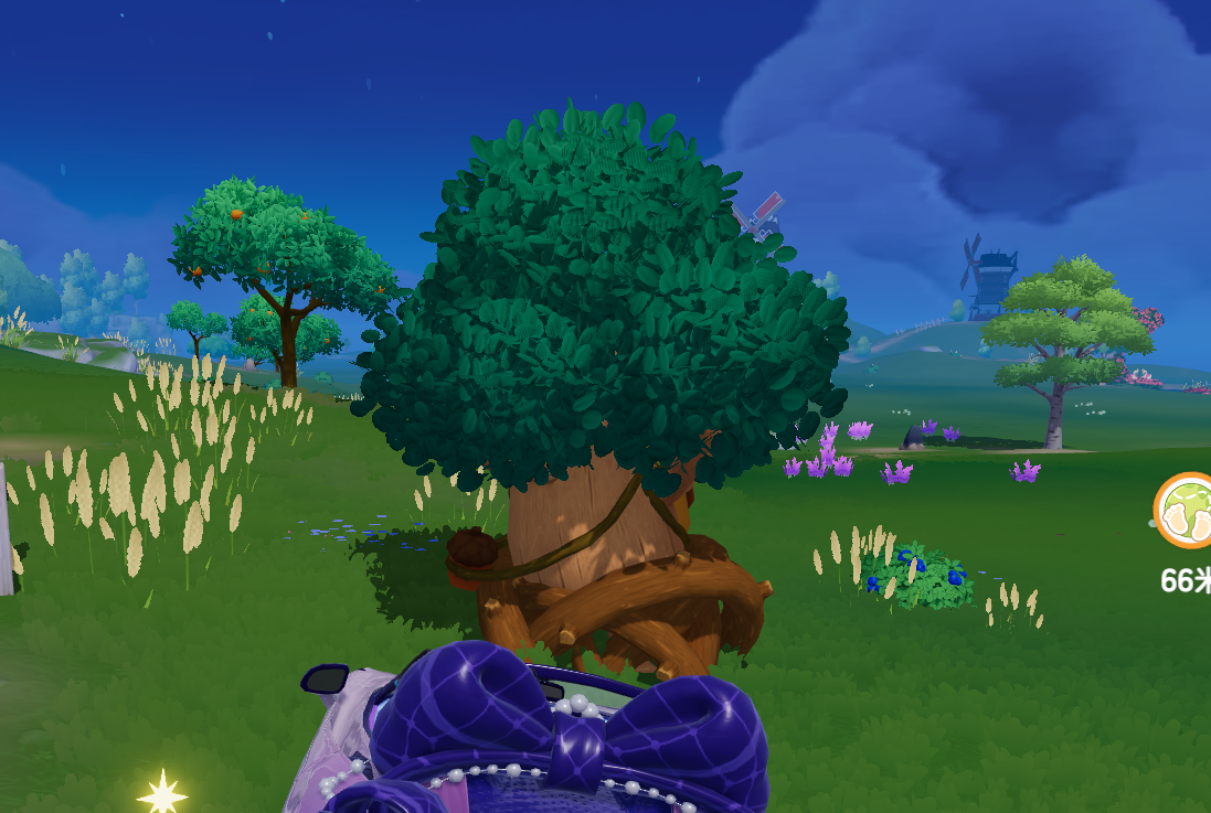 2月26日溜溜木位置