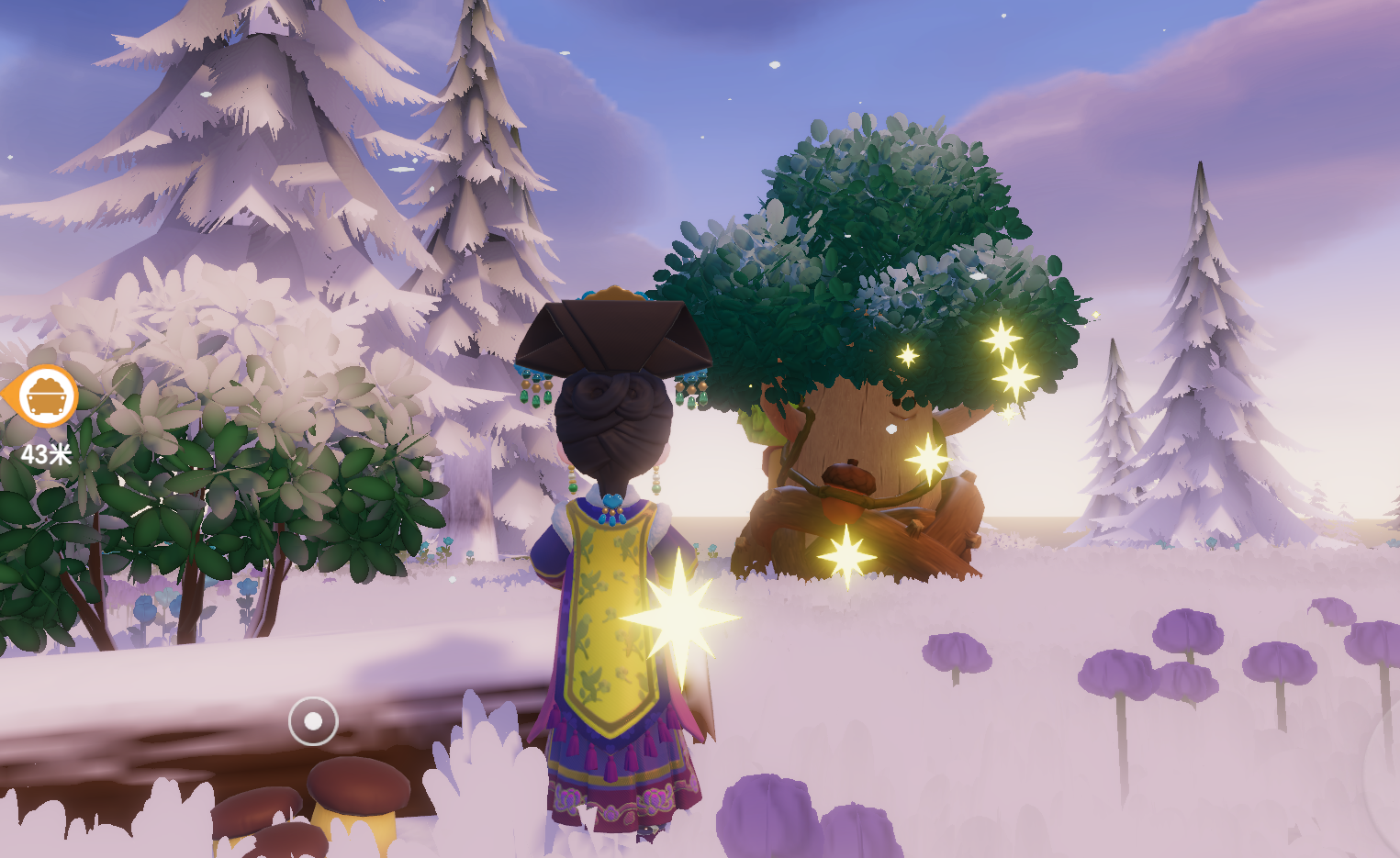 1月1日溜溜木位置