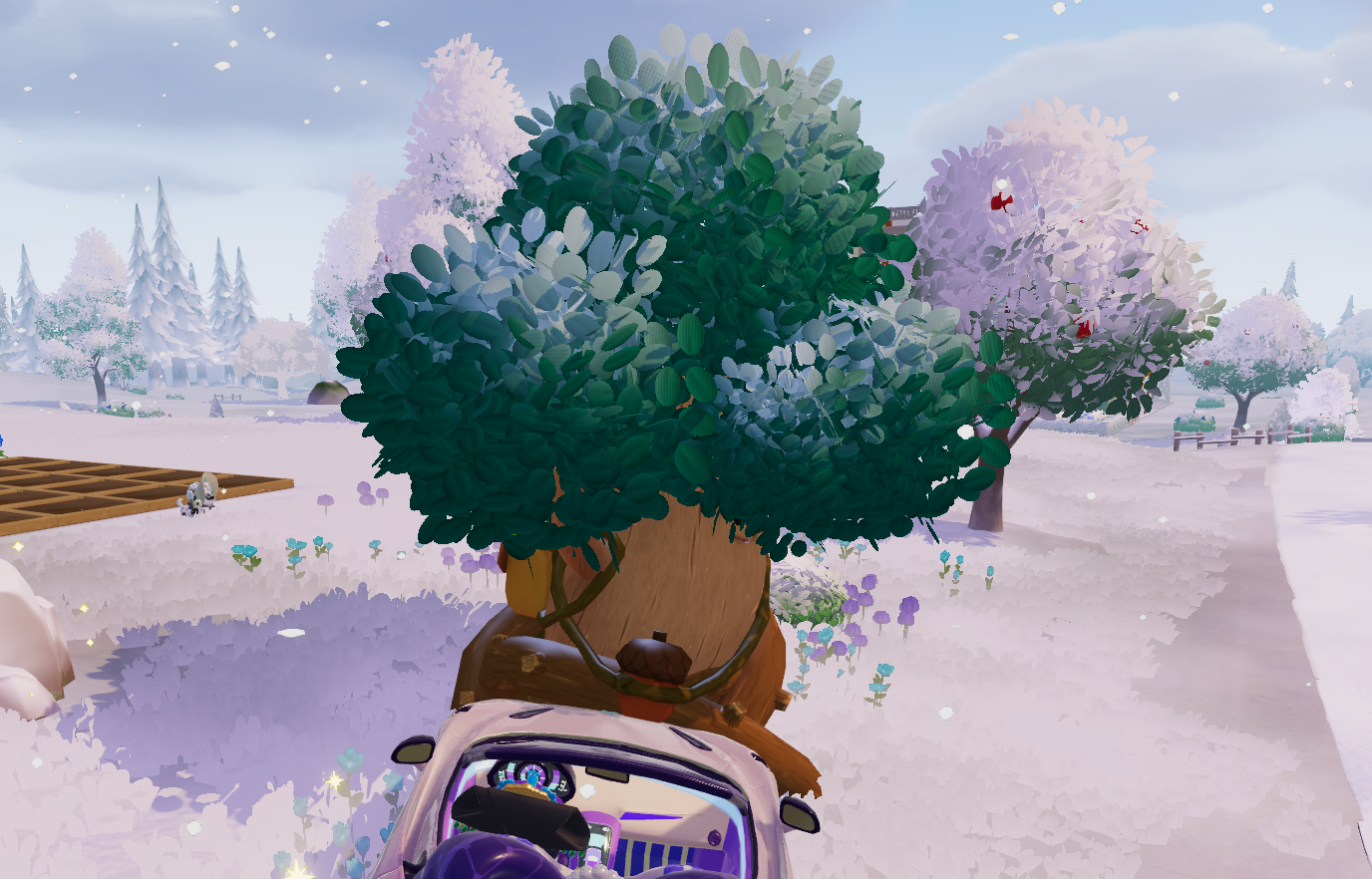 1月28日溜溜木位置