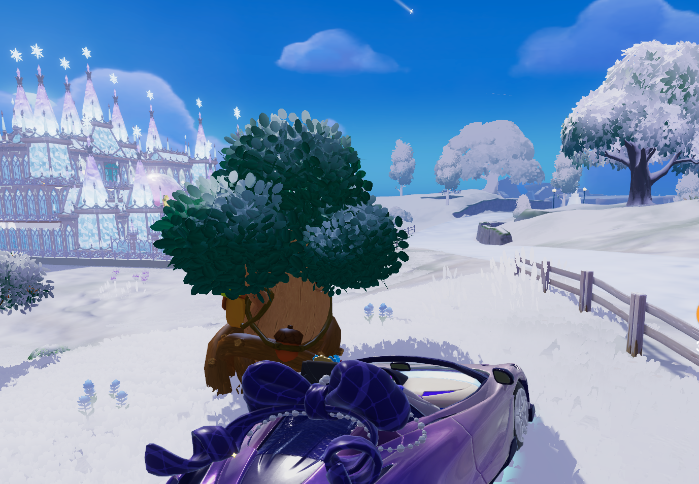 12月31日溜溜木位置