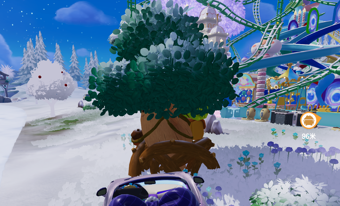 1月12日溜溜木位置