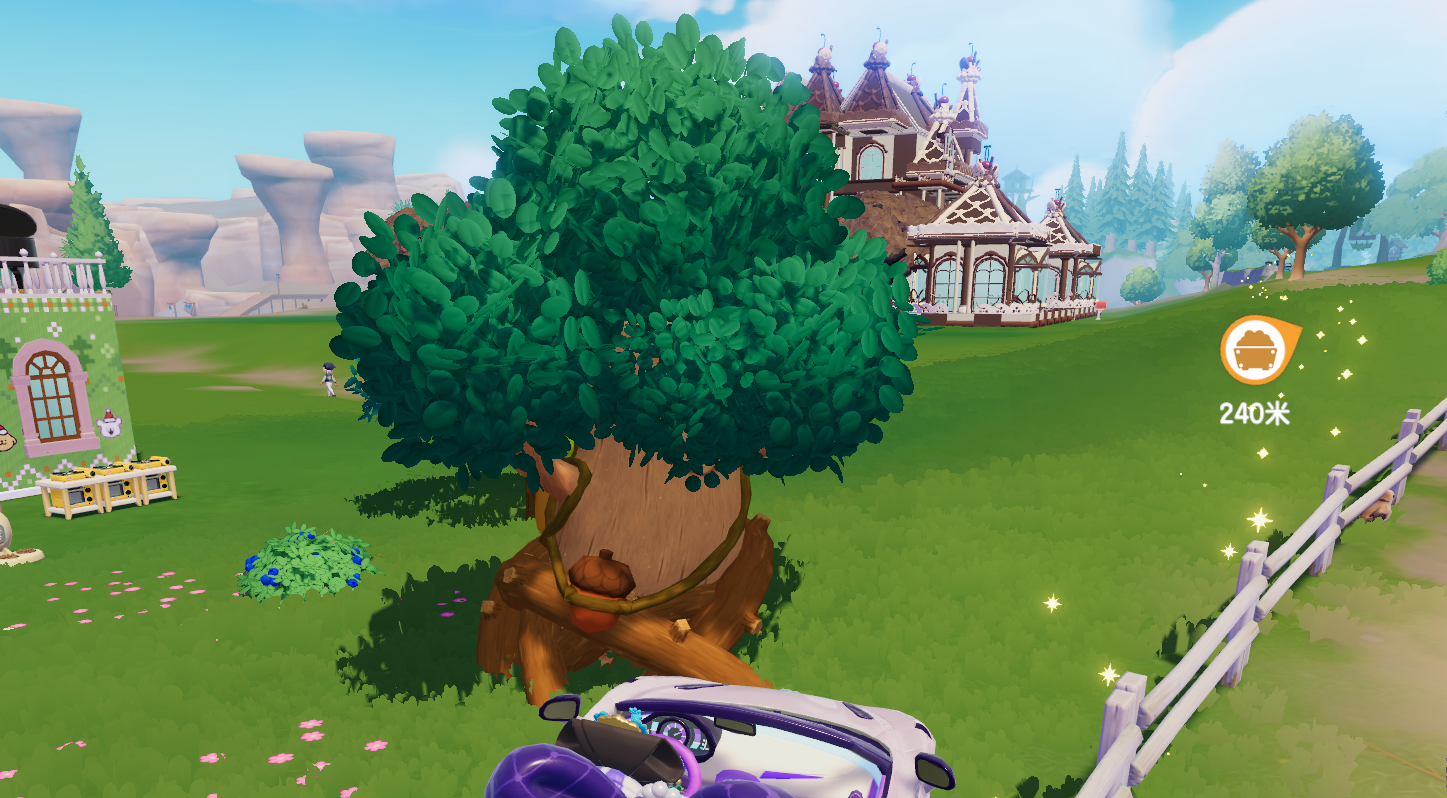 1月9日溜溜木位置