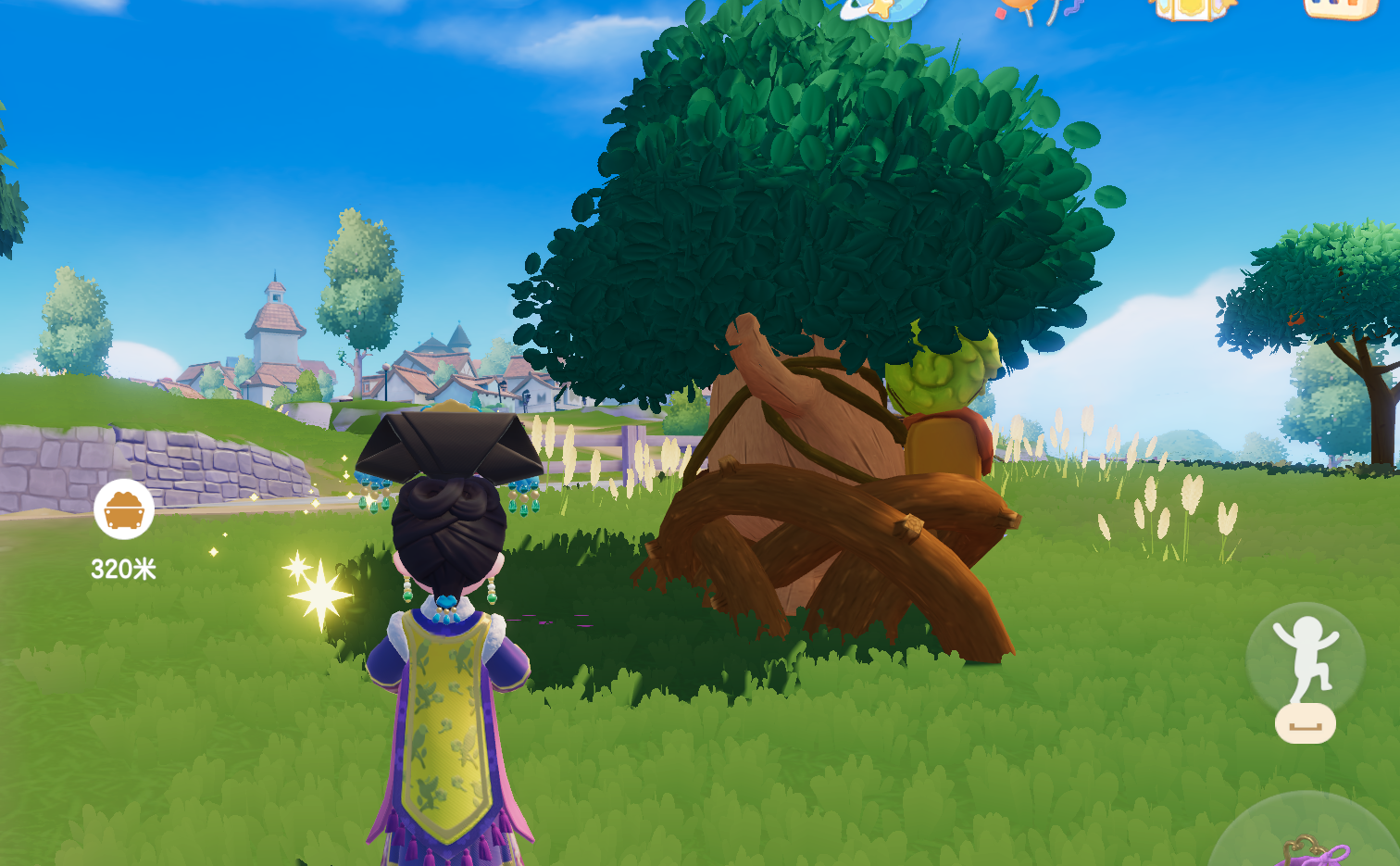 12月13日溜溜木位置