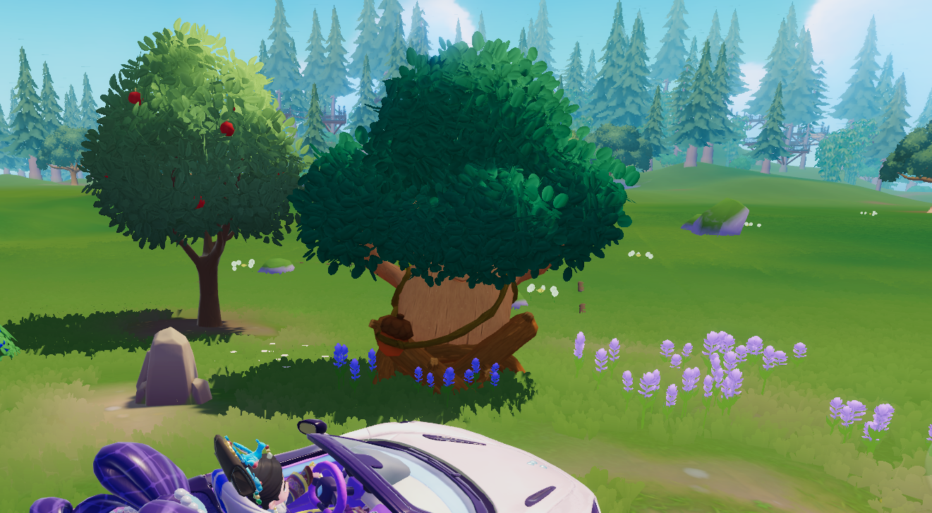 1月4日溜溜木位置