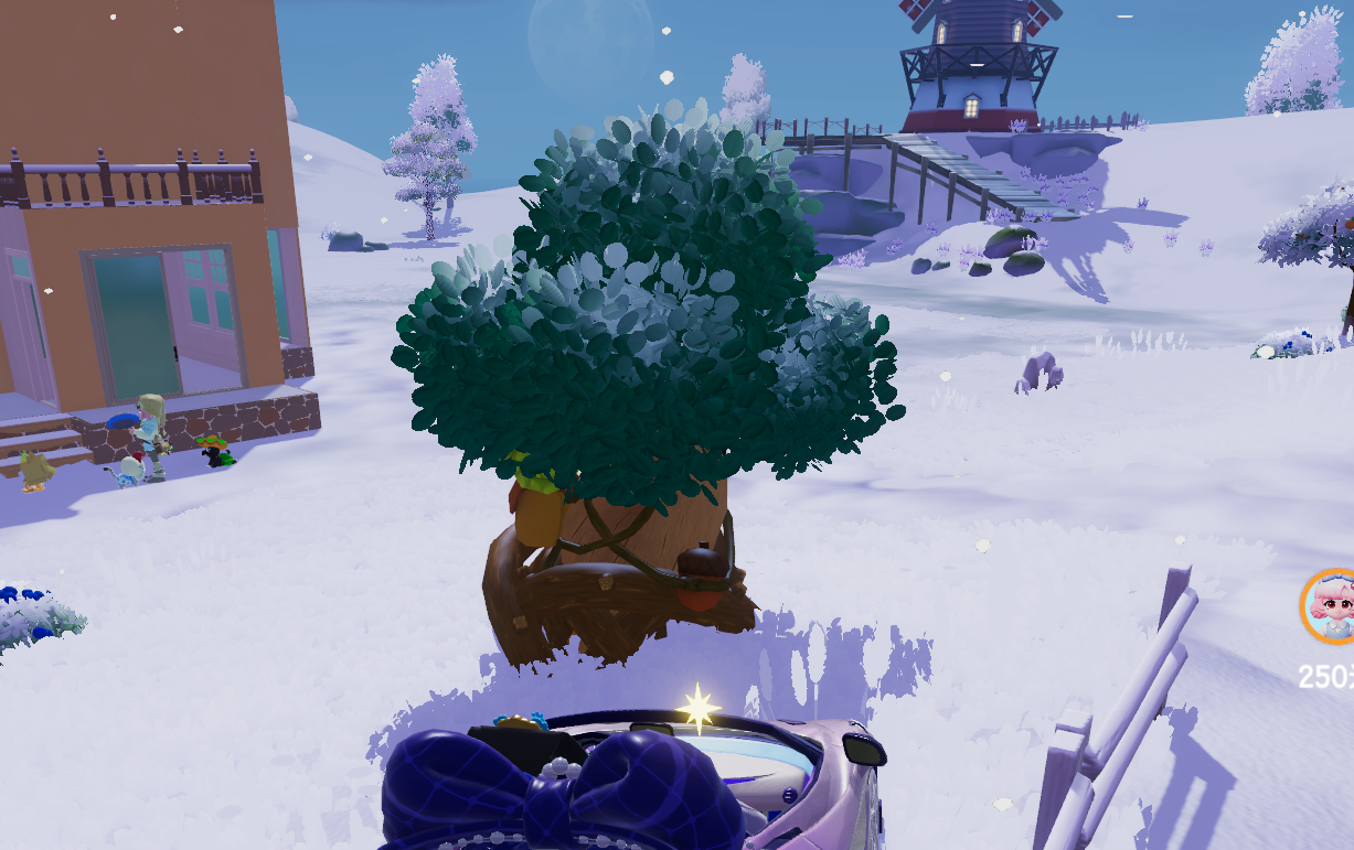 2月9日溜溜木位置