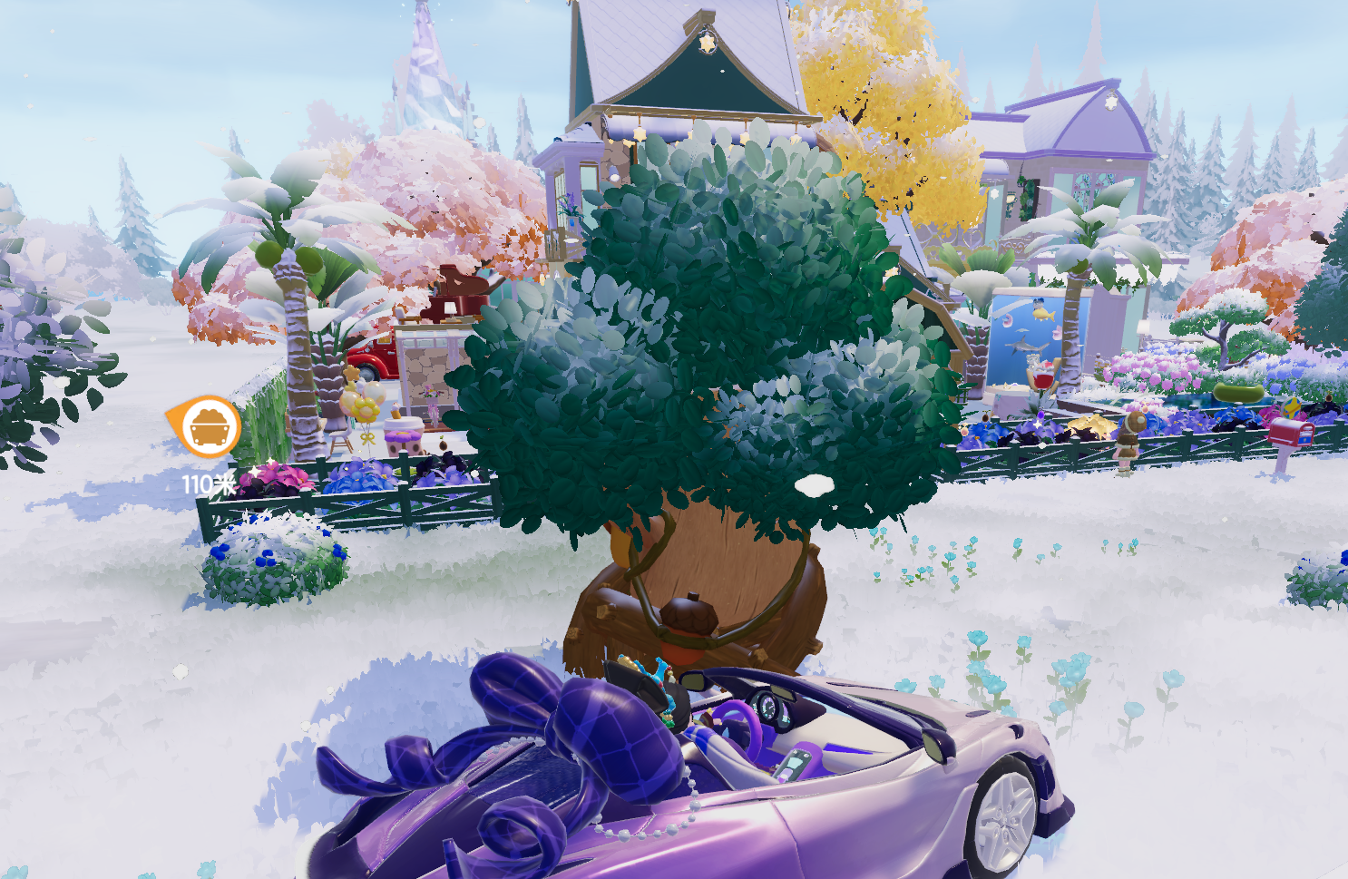 12月18日溜溜木位置