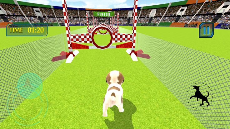 Puppy Show Simulator 3D游戏截图