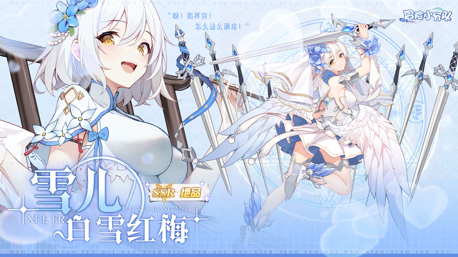 年度限定，绝品衣柜