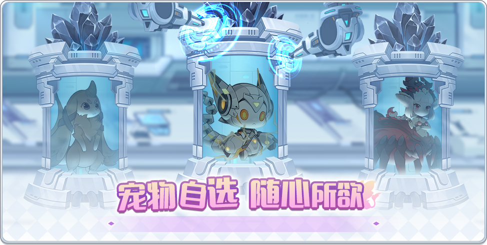宠物培育计划