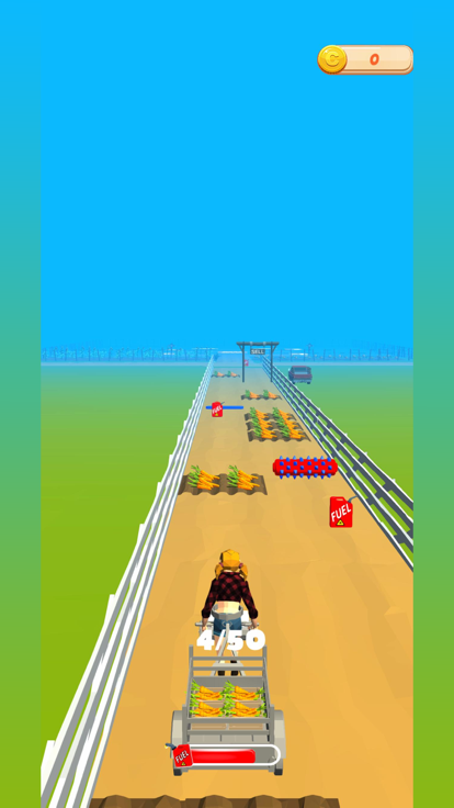 FarmGirlRunner游戏截图