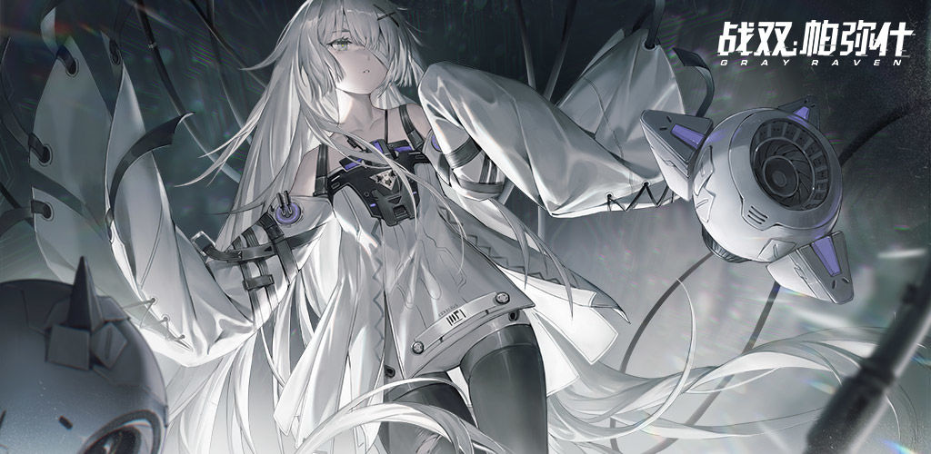 Punishing: Gray Raven
