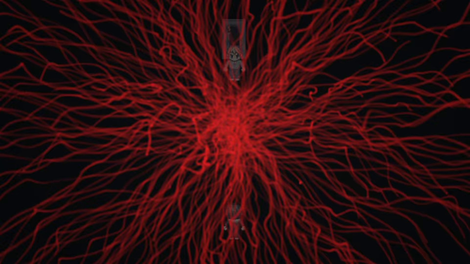 Seven Mysteries: The Last Page游戏截图