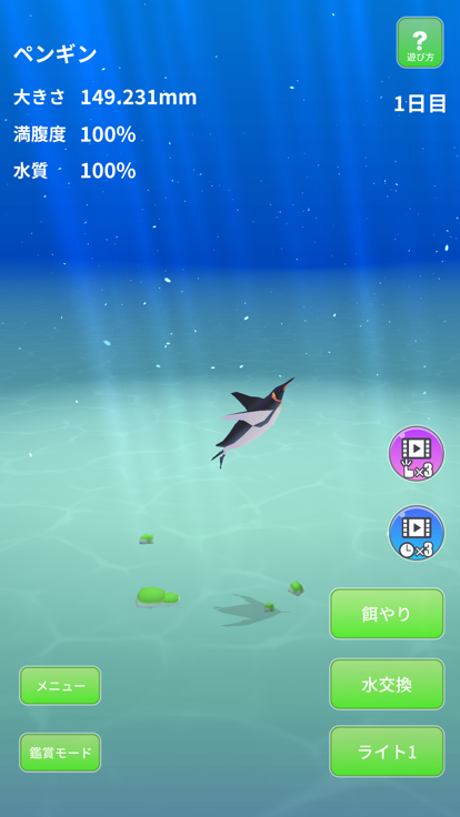 Penguin World.游戏截图