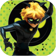 Cat noir Miraculous🐱