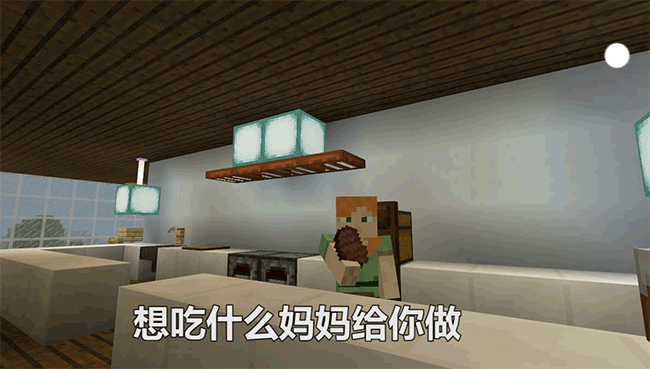 熊猫惨变流浪猫，高考前后的人间真实！