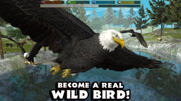 Ultimate Bird Simulator游戏截图