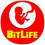 BitLife For Android -Life Simulator BitLife Helpericon