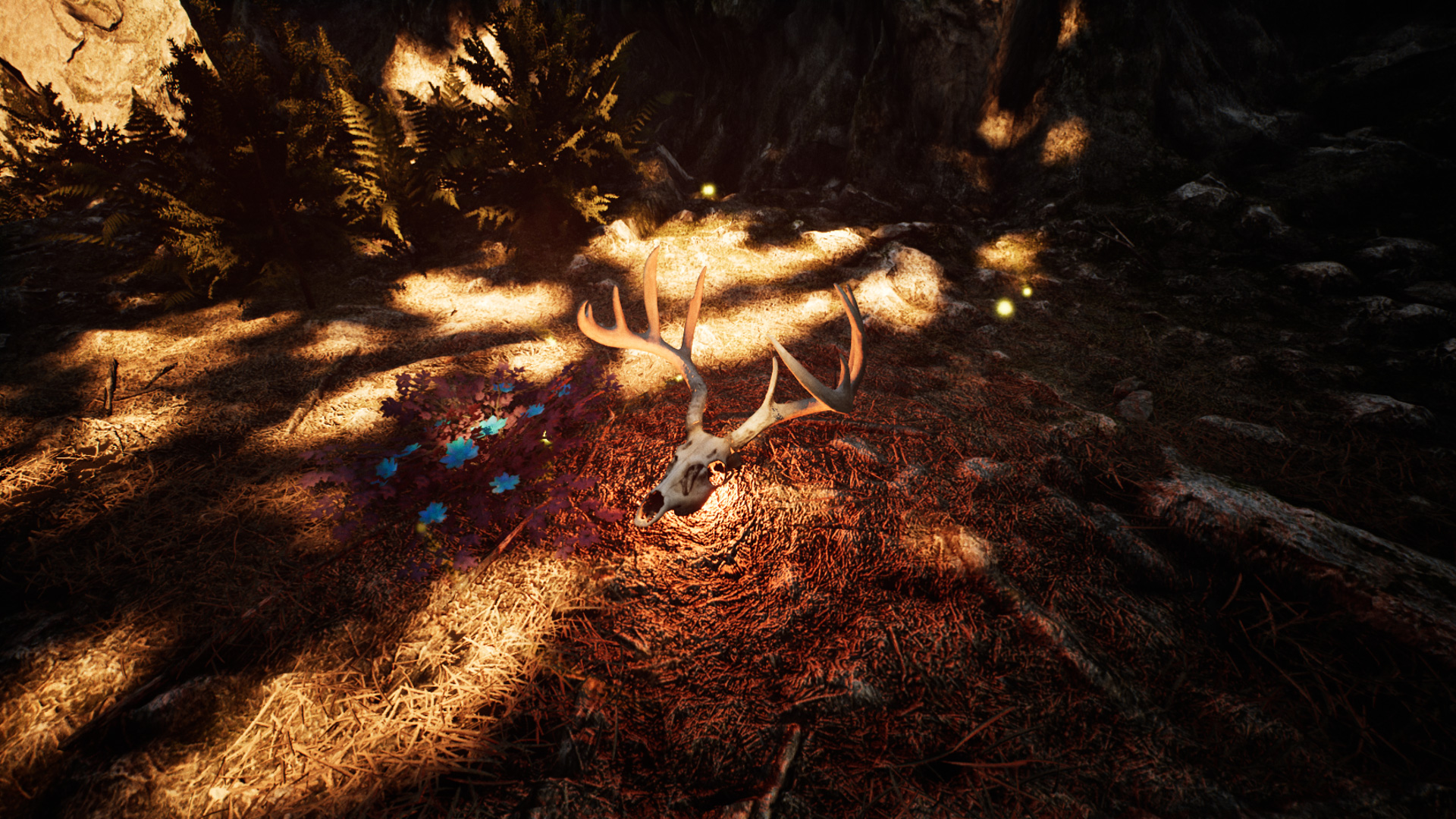 Nephise Begins游戏截图