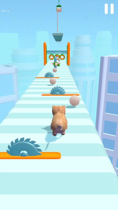 Fluffy Cat 3D游戏截图